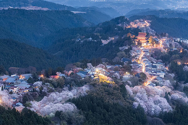 日本奈良热门景点 - 吉野山（Mount Yoshino）