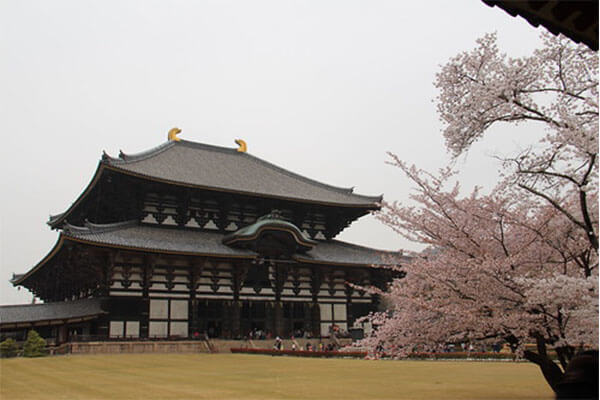 日本奈良热门景点 - 东大寺（Todai-ji Temple）