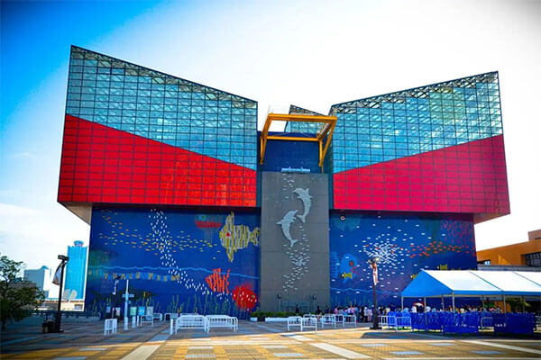 日本大阪热门景点 - 大阪海游馆（Osaka Aquarium Kaiyukan）